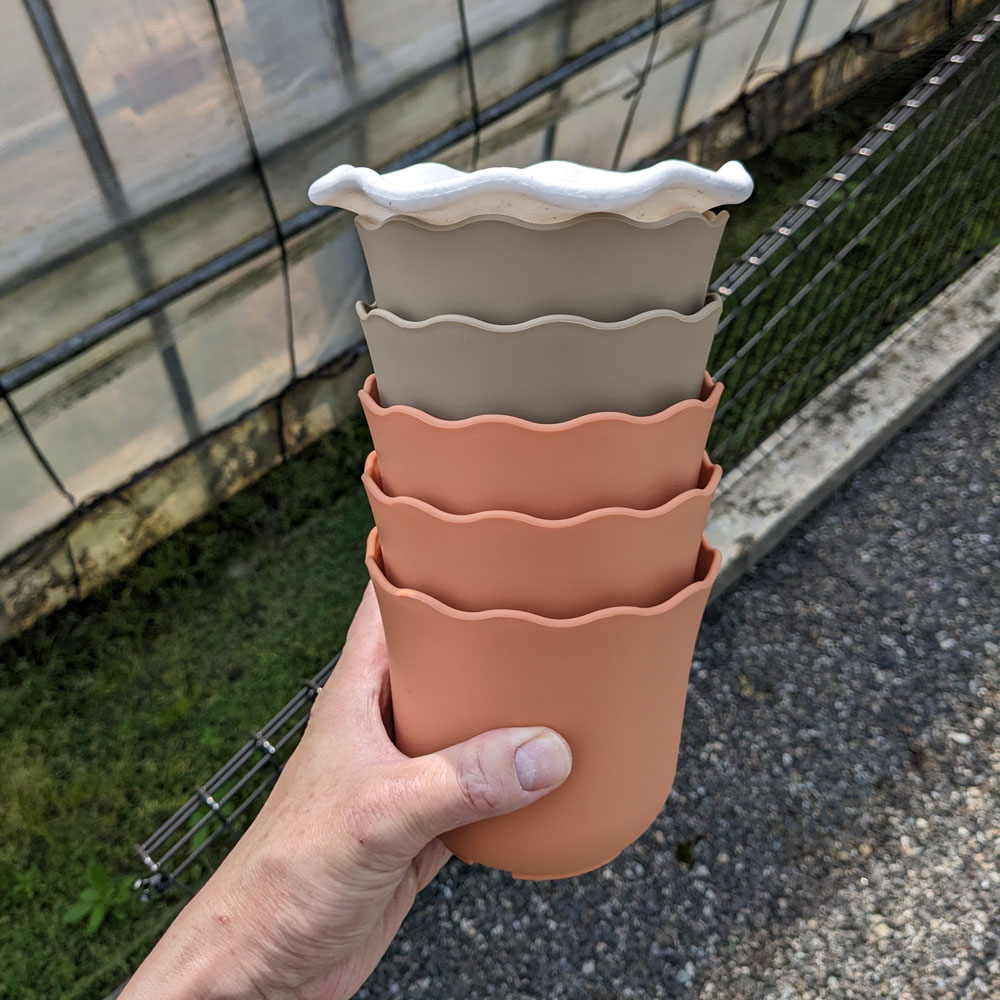 プラの4号鉢