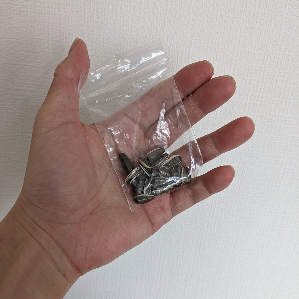 購入した餌用ひまわりの種