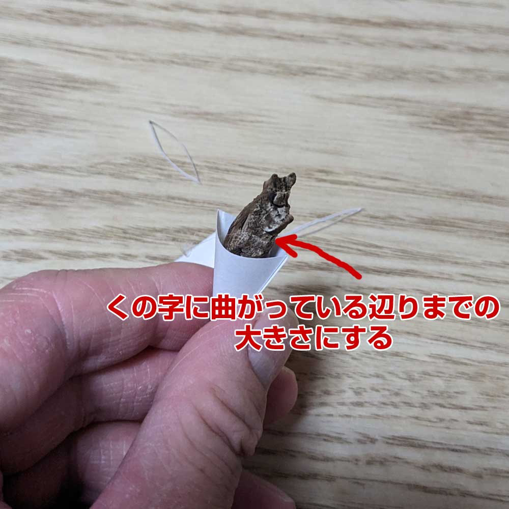 蛹がくの字に曲がっている辺りまでの大きさにする