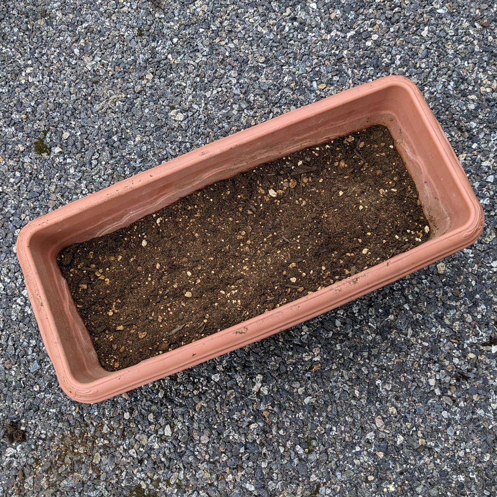 土の半分くらい入ったプランター